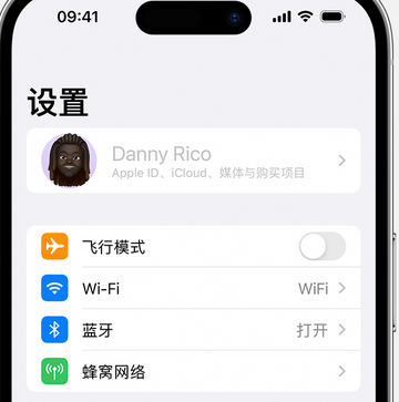 遵义appleID维修服务iPhone设置中Apple ID显示为灰色无法使用 