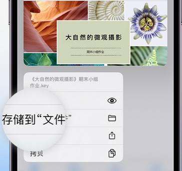 遵义apple维修中心分享iPhone文件应用中存储和找到下载文件