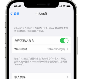 遵义apple服务站点分享iPhone上个人热点丢失了怎么办 