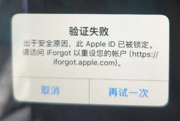 遵义iPhone维修分享iPhone上正常登录或使用AppleID怎么办 