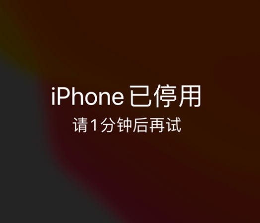 遵义苹果手机维修分享:iPhone 显示“不可用”或“已停用”怎么办？还能保留数据吗？ 