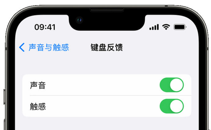 遵义苹果手机维修分享iPhone 14触感键盘使用方法 