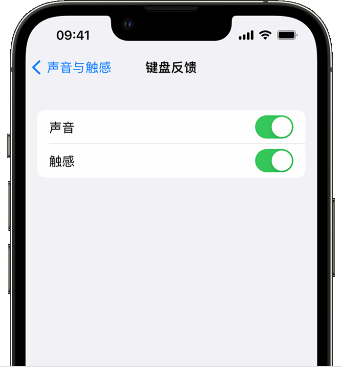 遵义苹果14维修店分享如何在 iPhone 14 机型中使用触感键盘 