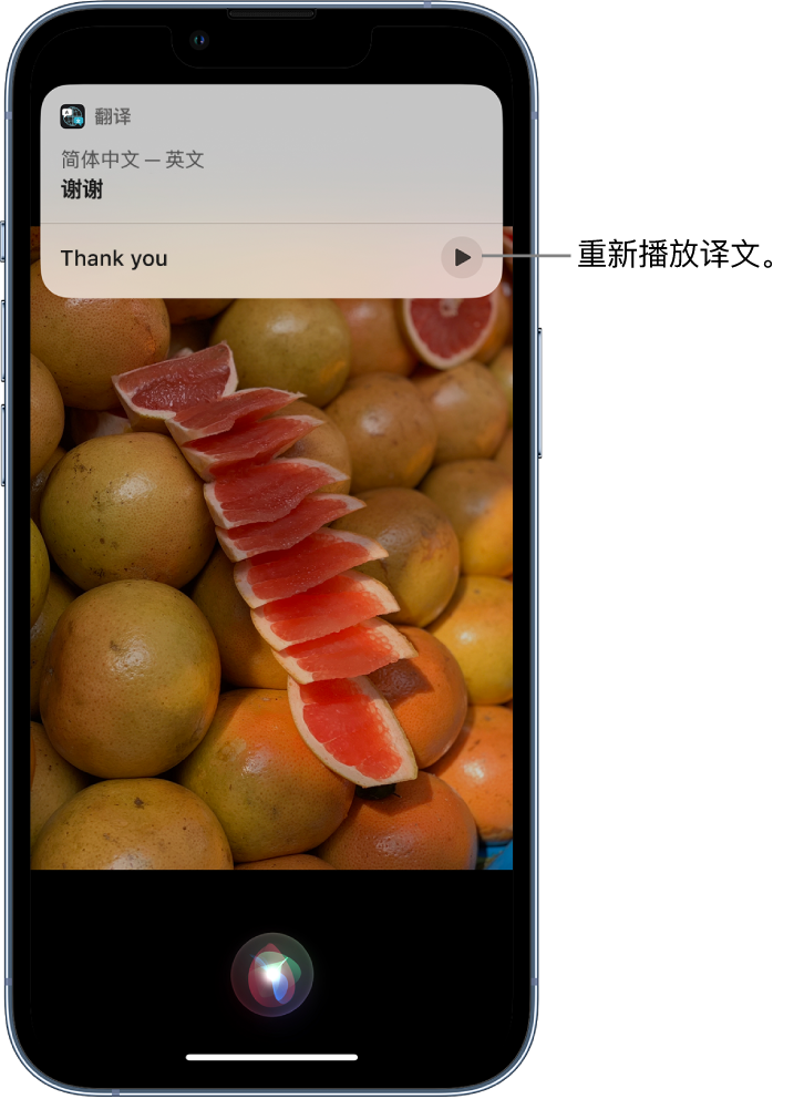 遵义苹果14维修分享 iPhone 14 机型中使用 Siri：了解 Siri 能帮你做什么 