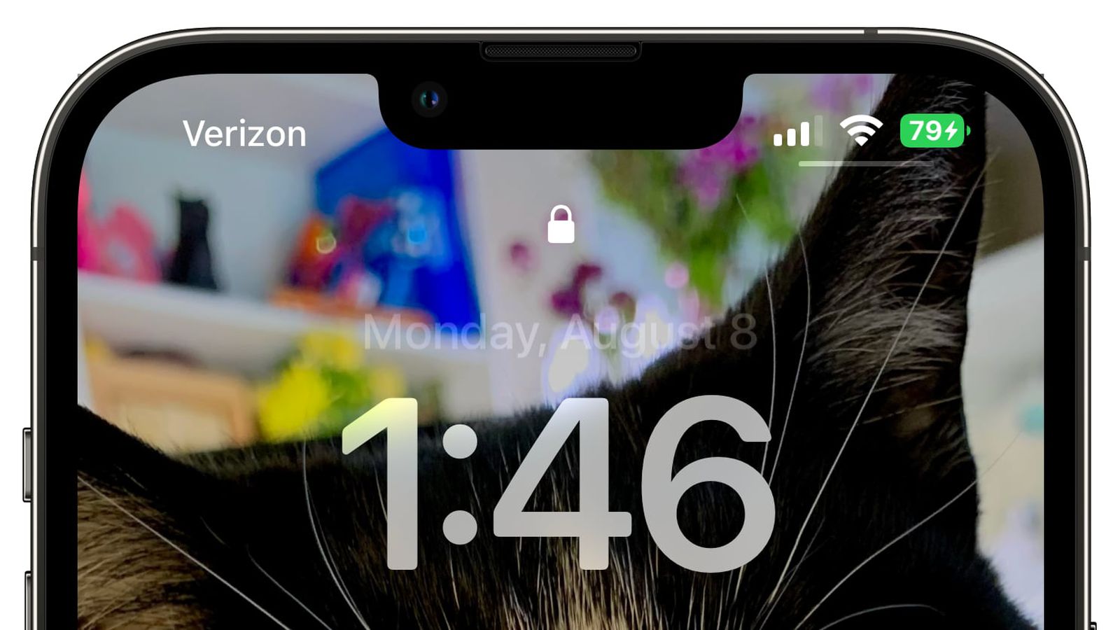 遵义苹果手机维修分享iOS 16 beta 5 支持状态栏显示电池百分比，如何开启？支持哪些机型 