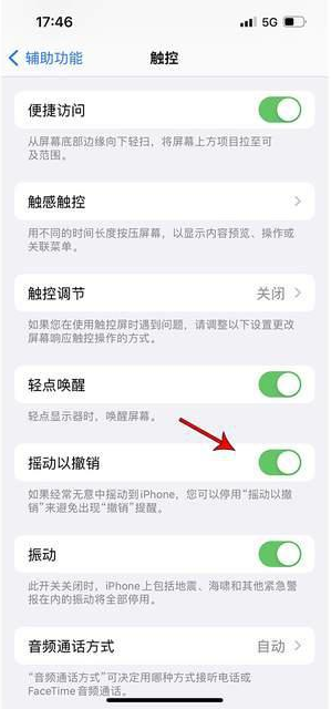 遵义苹果手机维修分享iPhone手机如何设置摇一摇删除文字 