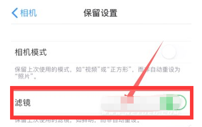 遵义苹果13维修分享iPhone13拍照有绿点是怎么回事 