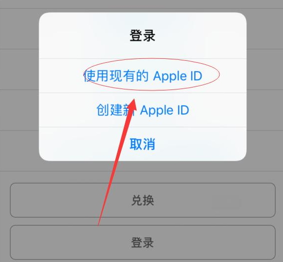 遵义苹果手机维修分享两台iPhone设备可以同时登录一个Apple ID吗 
