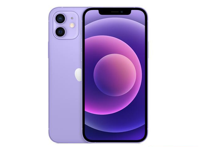 遵义苹果手机维修分享现阶段要不要入手紫色版iPhone12 